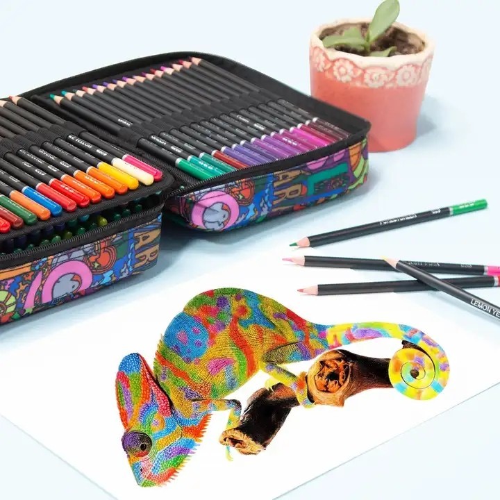 Color Pencil Set