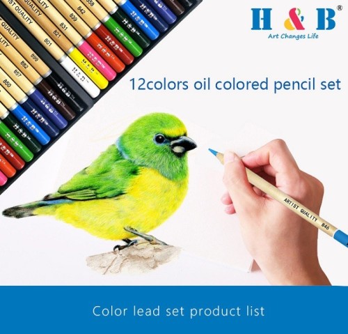 H&B 12pcs Unique oil based colored pencils set for wholesale drawing colored pencil for kid