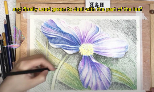 how to draw flowers