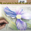 how to draw flowers