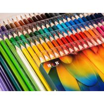 Oil Colored Pencil PP Box Range | 72/120 Colors with 3.3 mm Core