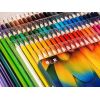H&B Art 72/120 Colors Oil-Based Colored Pencils Set – Water-Soluble Wooden Colored Pencils with PP Box for Drawing & Sketching – Non-Toxic ASTM Certified OEM Custom Logo Wholesale Manufacturer Supplier