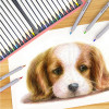 12-Color Watercolor Pencil Set in Tin Box for School Art Programs | OEM Supplier