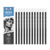 12 Pack Professional Charcoal Pencils – Soft, Medium or Hard