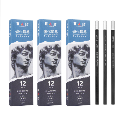 12 Pack Professional Charcoal Pencils – Soft, Medium or Hard