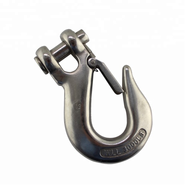 Stainless Steel 304 Clevis Slip Hook with Latch High Quality