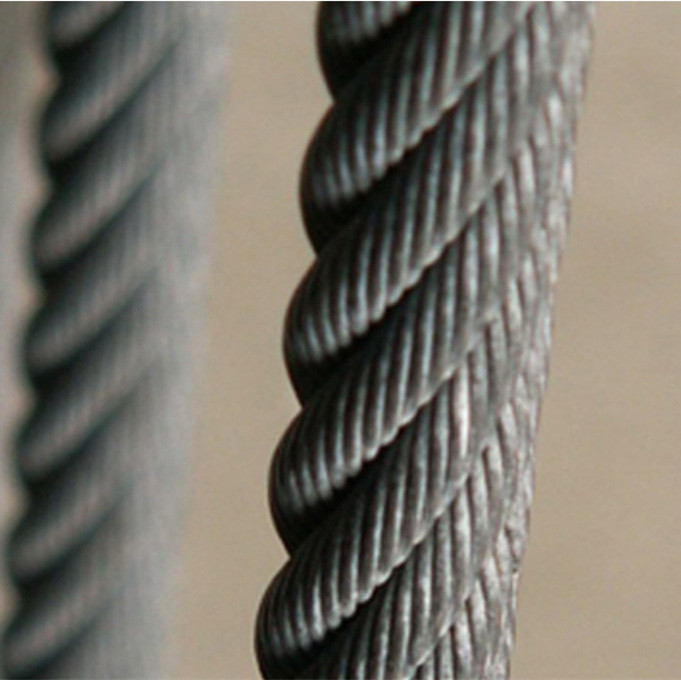 Galvanized Steel and Stainless Steel Wire Rope