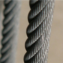 Galvanized Steel and Stainless Steel Wire Rope