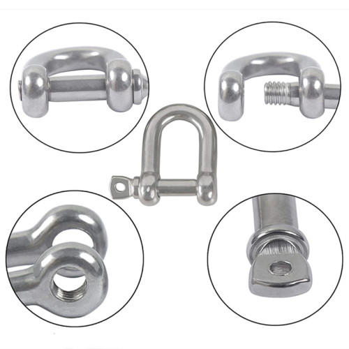 Stainless d Shackle Heavy Duty 1/2 Size with Safety Pin Shackles for Wire Rope and Chain