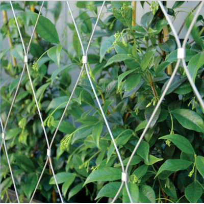 Stainless Steel Wire Rope Mesh Flexible Mesh Fabric SS316 or SS304 for Handrail Wall | zoo wall | hillside