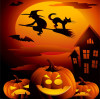 Halloween: A Celebration of Tradition and Innovation with TERADA HARDWARE