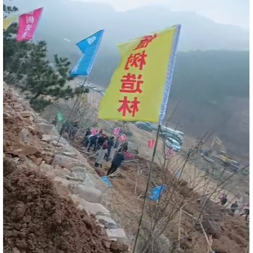 Arbor Day: A Celebration of Nature, Unity, and Social Responsibility