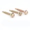 Drilling Screws Series
