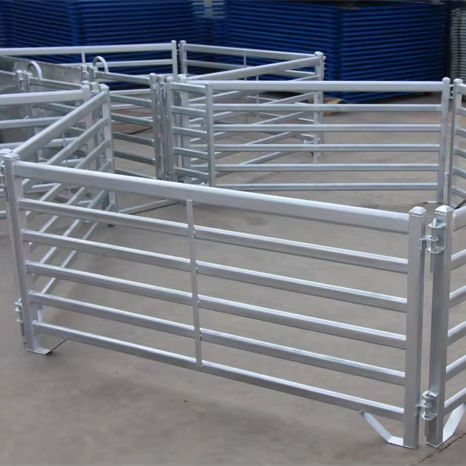 Heavy-Duty Galvanized Steel Cattle Crush | Farm Squeeze Chute