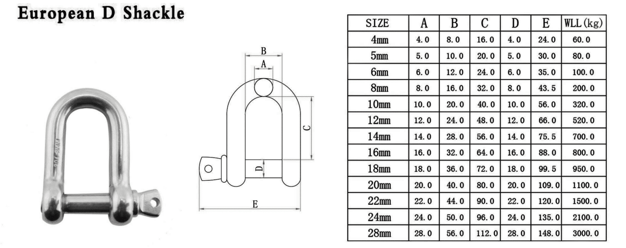 Stainless d Shackle Heavy Duty 1/2 Size with Safety Pin Shackles for Wire Rope 