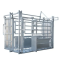 Heavy-Duty Galvanized Steel Cattle Crush | Farm Squeeze Chute