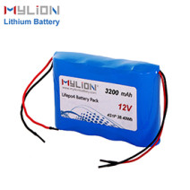 12V3200mah LiFe PO4 Battery