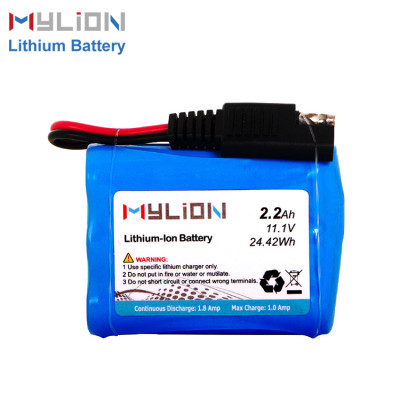 11.1V2200mAh Lithium ion battery pack