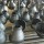 Manufacturer of 20#steel seamless pipe fittings for plumbing