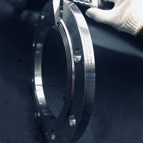 PN 10 GOST carbon steel forged flanges for plumbing system
