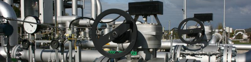 What flanges are used in petrochemical industry?