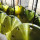 SABS flanges manufacturer and distributor