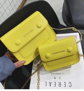 Trendy Multi Color Thin Chain Messenger Hand Bag