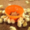 Poultry Start Feed tray For poultry Rearing Period