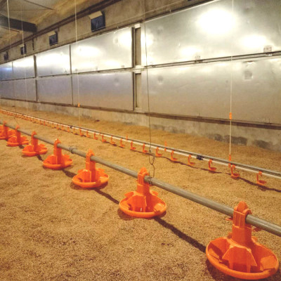 Automatic Broiler Chicken Poultry Auger Pan Feeding System