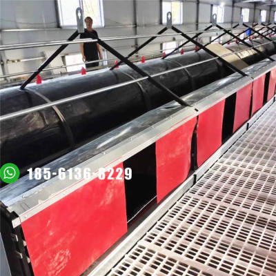 Automatic Group Nest for commercial layers