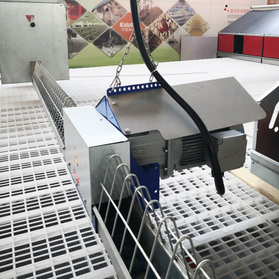 Suspension Type  Poultry Breeder Chain Feeding For Parentst Stock Chicken -Kaleter