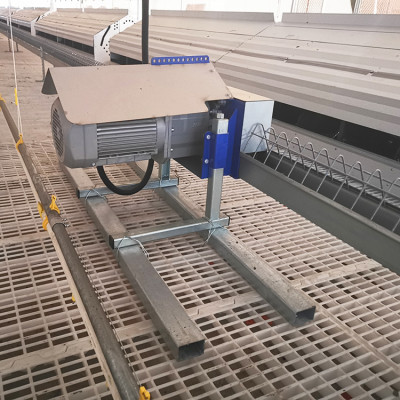 Support Type Chicken Barn Parent Stock Breeder Laying hen Automatic poultry Chain Feeder