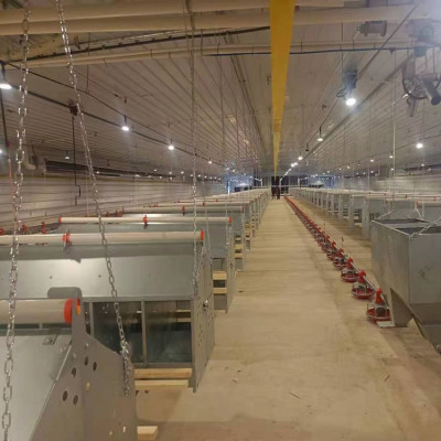 chicken barn manual chicken nest box |Kaleter  poulty nest