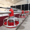 Auto Commericial Broiler Chicken Feeding System for Meat Production