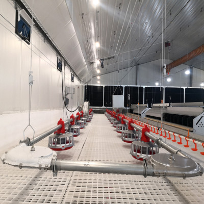 Automatic Pan Feeding system for Breeder Parent stock Poultry