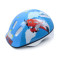 Cheaper Price PC Shell Promotion Skate Helmet Scooter Helmet For Kids