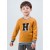 OEM factory boy cashmere word pattern round neck sweater with strip wholesale