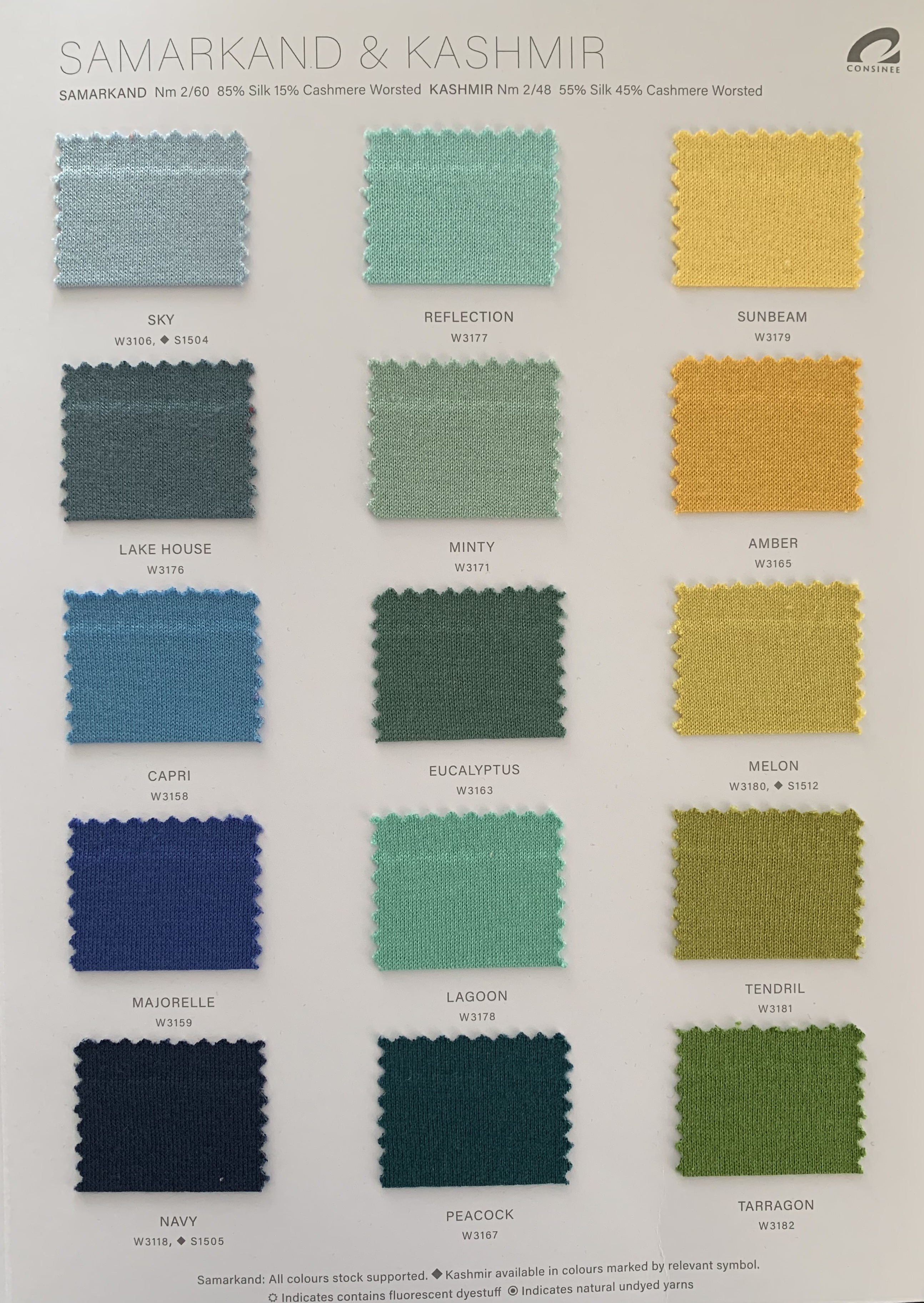 Ewsca spring new fancy color cards with silk cashmere mix