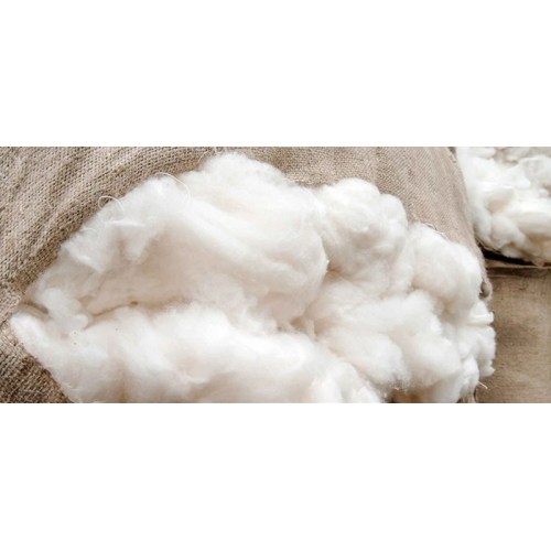 Ecco perché il cashmere è costoso