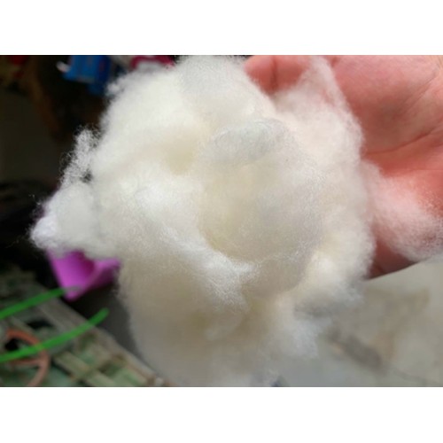 Ewsca Cashmere:In the heartland of the baby cashmere.