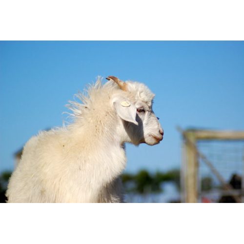 Time to prepare Christmas gifts