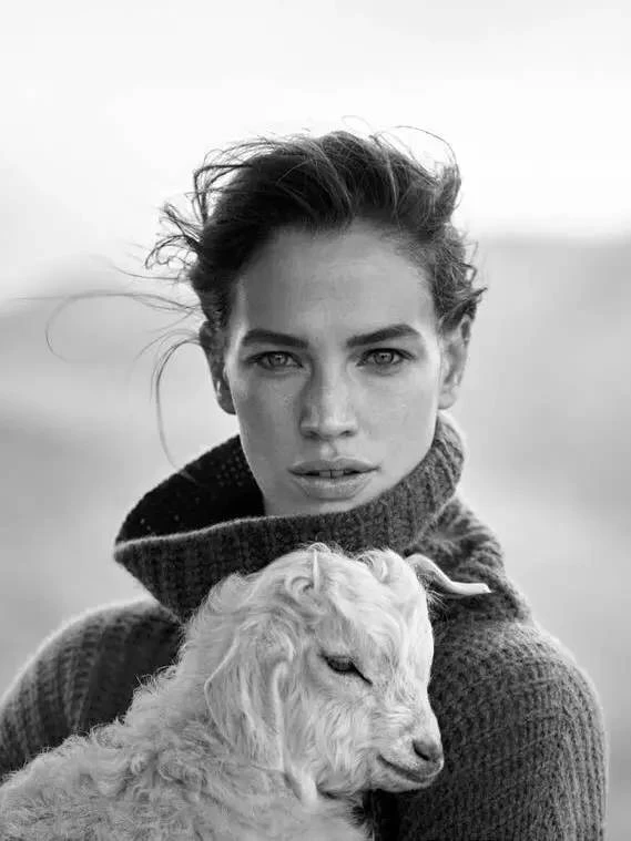 Ewsca-| Baby cashmere