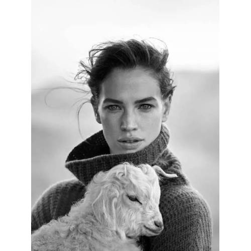 The difference between baby cashmere and cashmere