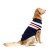 Wholesale OEM 100%Cashmere Pet Dog Sweater From Chinese Manufacturer