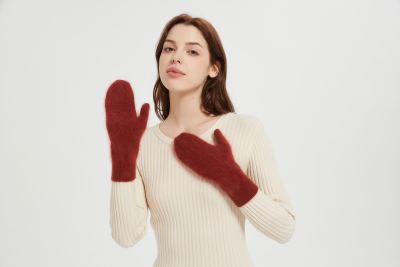 Wholesale high end women's 100%Brushed Cashmere Gloves for fall winter from China