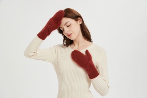 Wholesale high end women's 100%Brushed Cashmere Gloves for fall winter from China