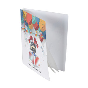 Custom Printed Cover Clear Inner Pockets Display Book