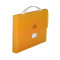 Simple Orange File Case with Handles