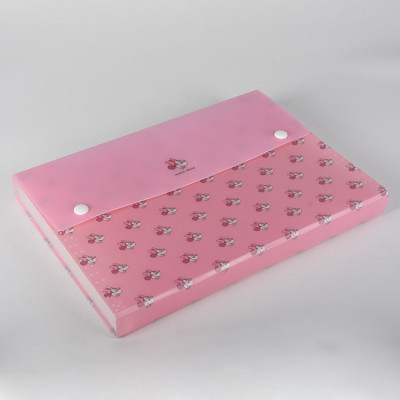 Custom Print Waterproof 13 Pockets A4 Letter Size Accordian File Folder