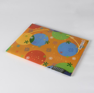 PP File Folder with Elastic Rope